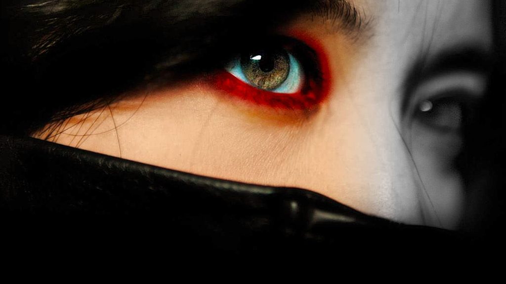 Lady Vengeance 2005