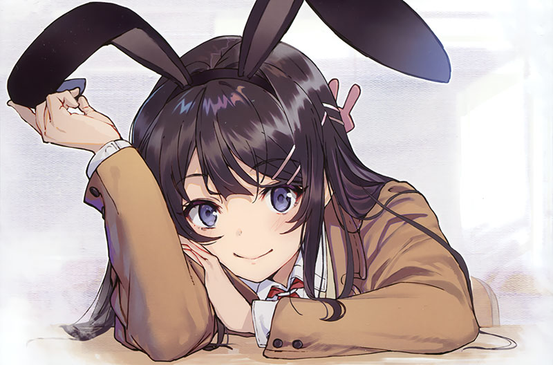 Rascal Does Not Dream of Bunny Girl Senpai