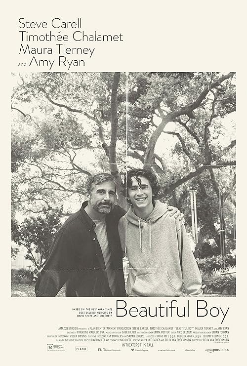  Beautiful Boy 2018